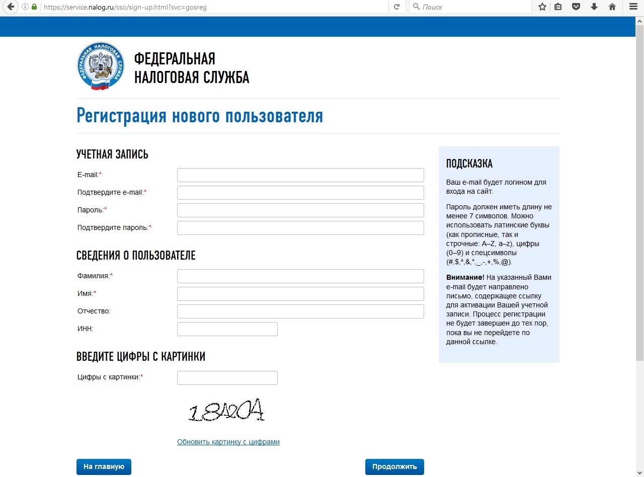 Образец окна регистрации в сервисе ФНС